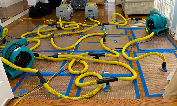Professional Crawl Space Water Removal technician working in Trenton, AL